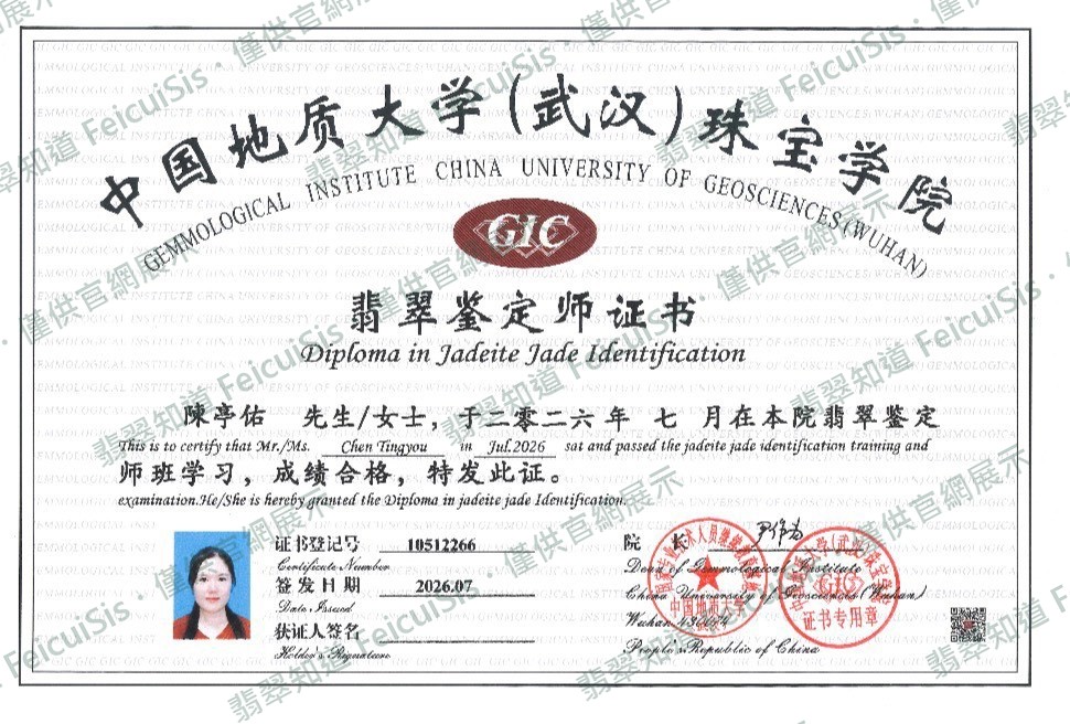 陳亭佑 結業證書
